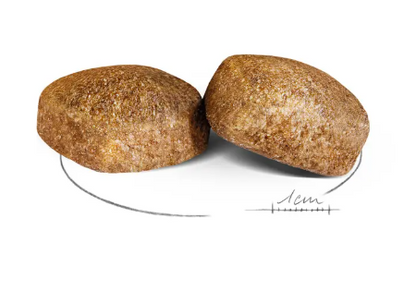 Cibo per cani adulti Giant Royal Canin AGRIAPPIA, confezione di alimento per cani di taglia grande, immagine in dettaglio
