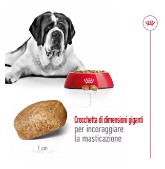 Cibo per cani Giant Adult Royal Canin di AGRIAPPIA, confezione con il prodotto visibile e dettagli sul packaging