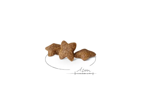 Cibo per cani Mini Adult Royal Canin di AGRIAPPIA, confezione con crocchette per cani di taglia piccola.