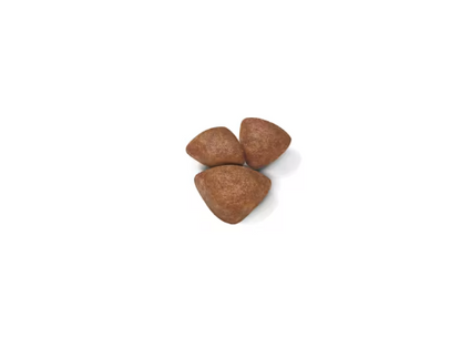 Cibo per cani Mini Starter Royal Canin in confezione, prodotto di alimentazione per cuccioli di piccola taglia, marca AGRIAPPIA.
