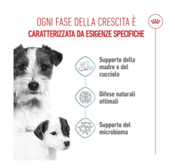 Cibo per cani Mini Starter Royal Canin di AGRIAPPIA, confezione con ciotola e esempio del cibo naturale per cuccioli.