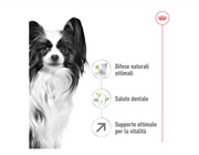 X-Small Adult 8+ Royal Canin