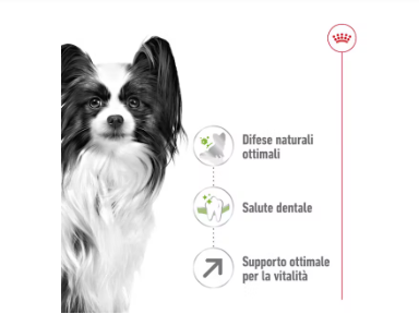 X-Small Adult 8+ Royal Canin