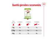 X-Small Adult 8+ Royal Canin