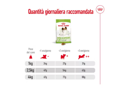 X-Small Adult 8+ Royal Canin