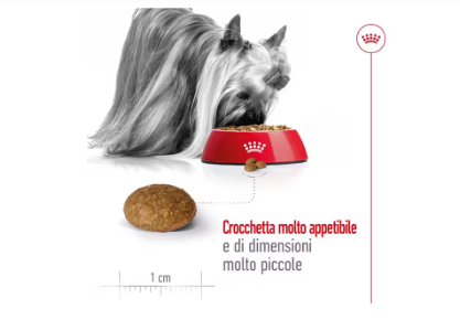 X-Small Adult 8+ Royal Canin