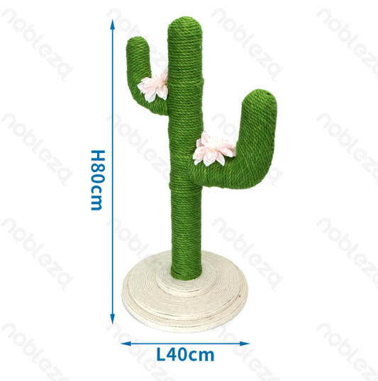 Cactus tiragraffi