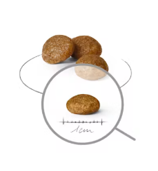 Crocchette per cani adulti di taglia X-Small Royal Canin, prodotto AGRIAPPIA, in confezione con imballaggio visibile.
