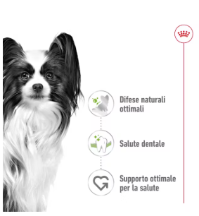 Crocchette X-Small Adult Royal Canin per cani, confezione AGRIAPPIA, immagine del sacco di cibo per cani di taglia piccola