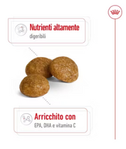 X-Small Adult Royal Canin