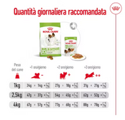 X-Small Adult Royal Canin