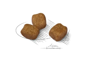 Cibo per cani Mini Dental Care Royal Canin di AGRIAPPIA, confezione con crocchette per la cura dentale dei cani di taglia piccola