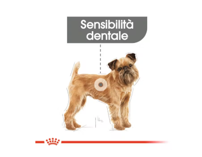 Crocchette Mini Dental Care Royal Canin per cani, alimenti specifici per la cura dentale, marchio AgriAppia.