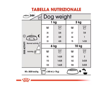 Cibo per cani Mini Dental Care Royal Canin di AGRIAPPIA, confezione con crocchette per la cura dentale dei cani di taglia piccola