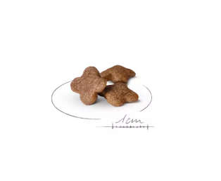 Cibo per cani mini adult 8+ Royal Canin di AGRIAPPIA, confezione con crocchette per cani di piccola taglia anziani.