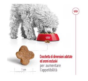 Cibo per cani Mini Adult 8+ Royal Canin di AGRIAPPIA, confezione con crocchette per cani anziani di taglia piccola.
