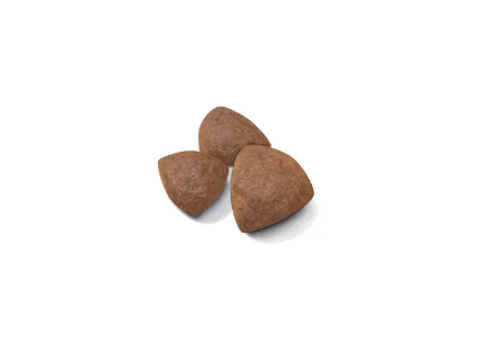 Medium Starter Royal Canin
