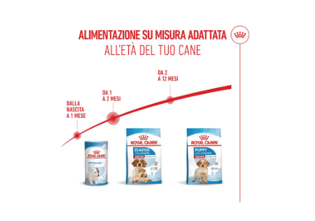 Cibo per cani Royal Canin Medium Starter di AGRIAPPIA, confezione con crocchette per cuccioli di taglia media.