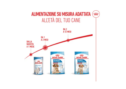Cibo per cani Royal Canin Medium Starter di AGRIAPPIA, confezione con crocchette per cuccioli di taglia media.