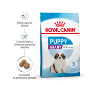 Puppy Giant Royal Canin