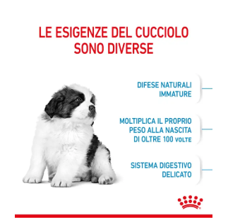 Cibo per cani Puppy Giant Royal Canin di AGRIAPPIA, confezione con crocchette grandi per cuccioli di taglia gigante
