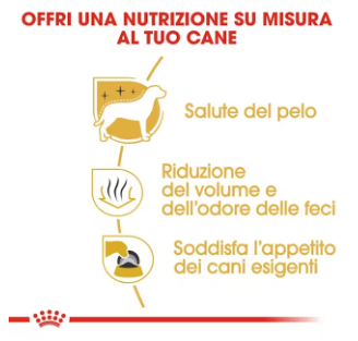 Crocchette per cani adult Maltese Royal Canin, prodotto per la cura e l'alimentazione del cane, marca AGRIAPPIA.