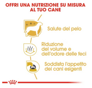 Maltese Adult Royal Canin