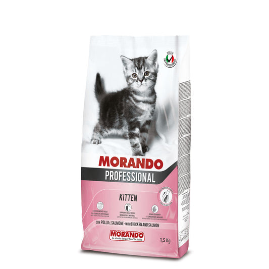 KITTEN CON POLLO E SALMONE