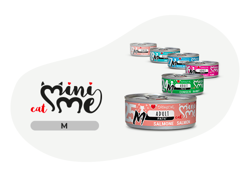 Mini Me Linea M di AGRIAPPIA, famiglia di mini disuguali in diversi colori e dimensioni, ideale per decorazioni naturali.