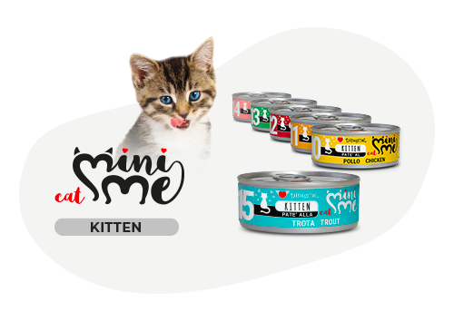 Famiglia di gattini con disugual Mini Me Patè AGRIAPPIA, visibile nell'immagine, con ciotole e gattini curiosi e affettuosi.