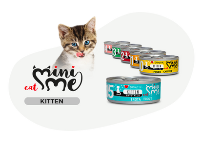Famiglia di gattini con disugual Mini Me Patè AGRIAPPIA, visibile nell'immagine, con ciotole e gattini curiosi e affettuosi.