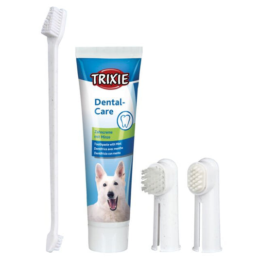 Set per l'igiene dentale
