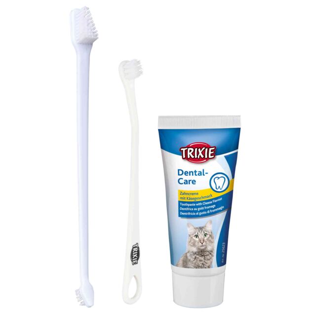 Kit di pulizia dentale per gatti AGRIAPPIA con spazzolino e strumenti per cura orale felini.