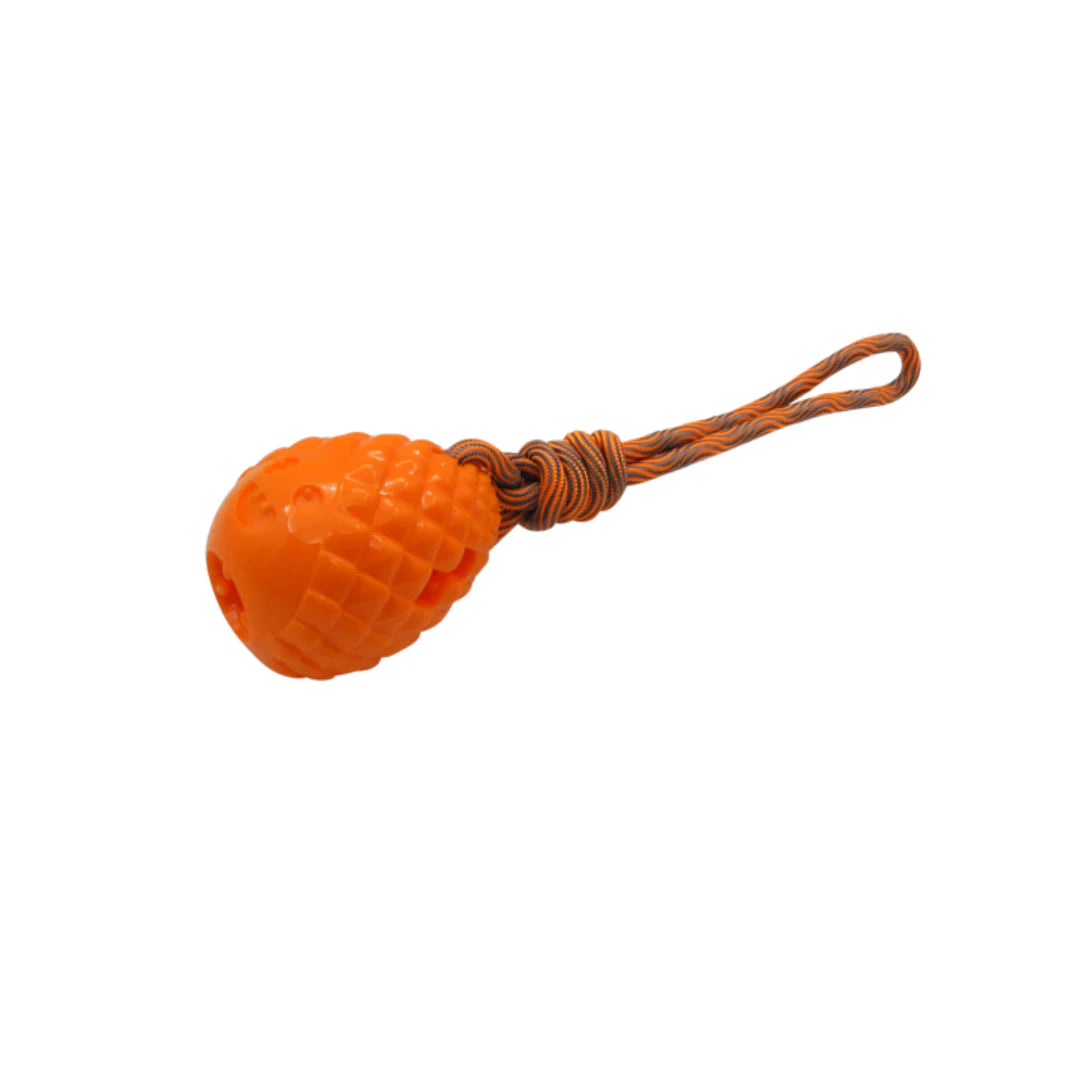 Pigna grigia con corda AGRIAPPIA, gioco per cani in gomma con corda resistente, ideale per masticare e giocare all'aperto.