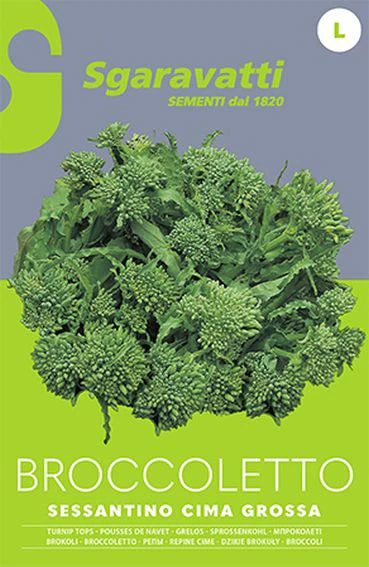 Broccoletto Sessantino a Cima Grossa AGRIAPPIA, immagine di un broccolo verde con cime compatte e foglie fresche.