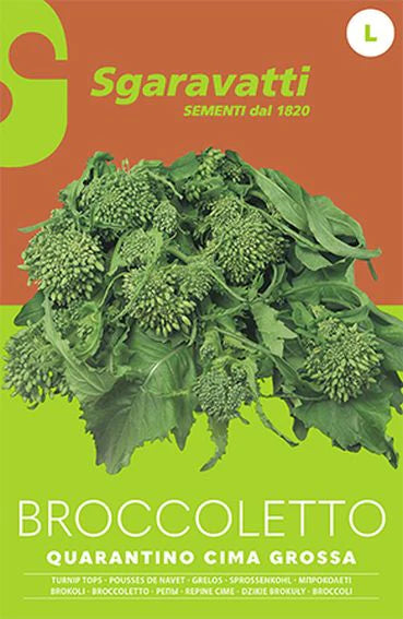 Broccoletto Quarantino a Cima Grossa AGRIAPPIA, verdure fresche e croccanti, dettaglio delle cimette verdi e compatte.
