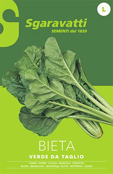 Bieta liscia verde da taglio AGRIAPPIA, foglie fresche e verdi, pronta per essere utilizzata in cucina.
