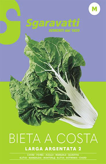 Bieta verde a costa larga argentata AGRIAPPIA, foglie larghe e color verde brillante, vista ravvicinata sulla pianta.