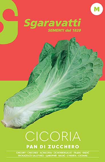 Cicoria Pan di Zucchero AgriaPPia, foglie di cicoria fresca e croccante, pronta per insalate o piatti vegetariani.