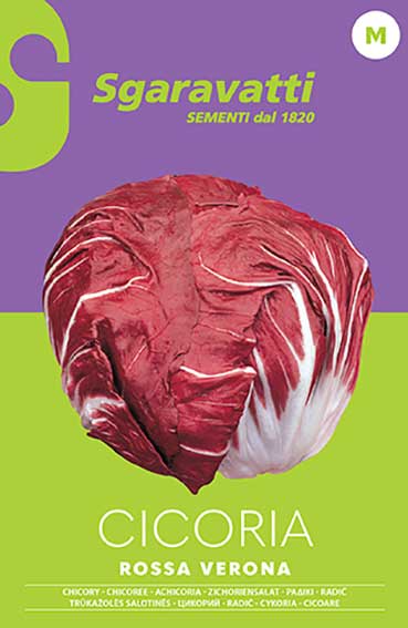 Cicoria rossa di Verona a palla di AGRIAPPIA, visualizzata in una foto con foglie verdi e ciuffo compatto.