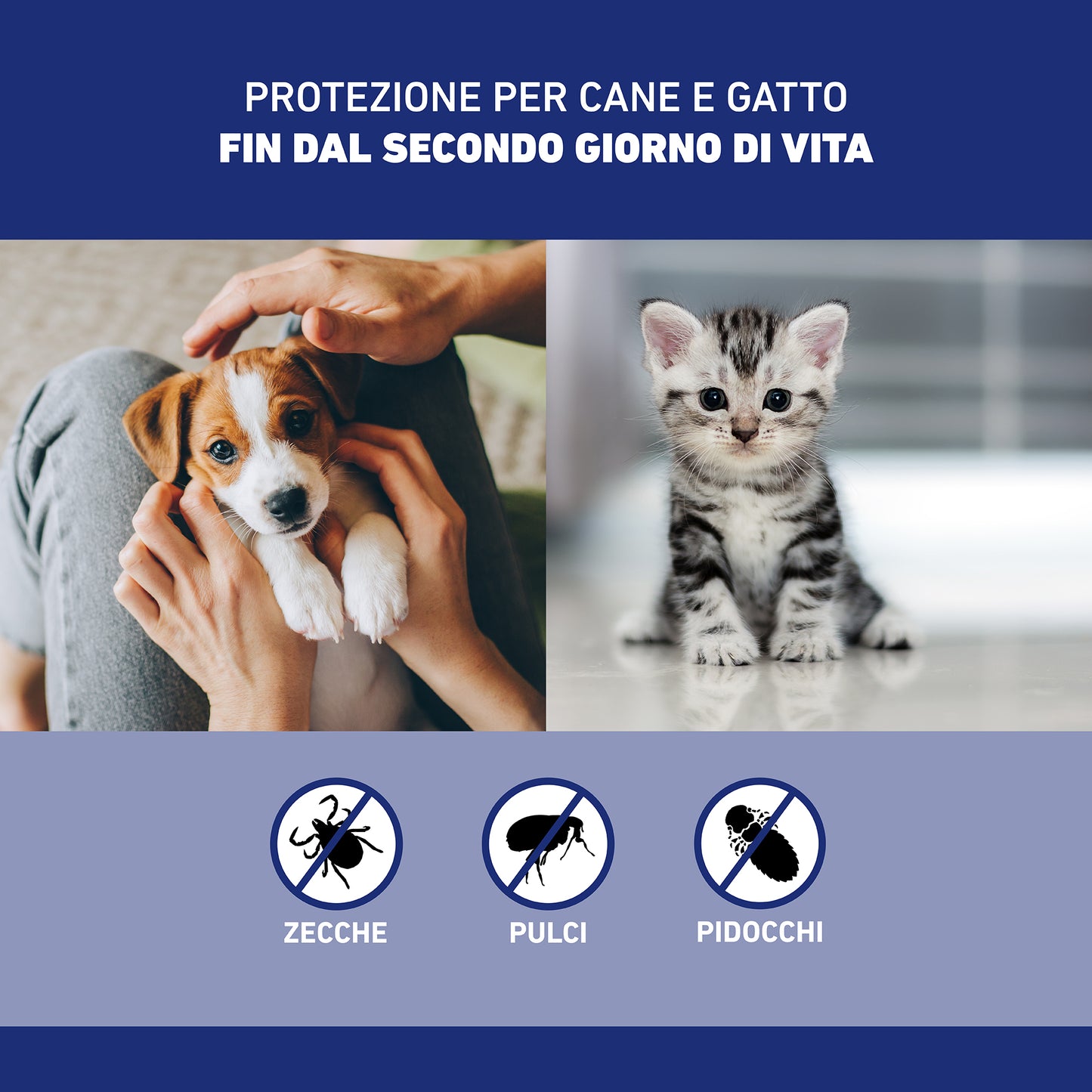 Spray Frontline® AGRIAPPIA per il controllo dei parassiti sugli animali, applicato sulla pelle in un'area visibile.
