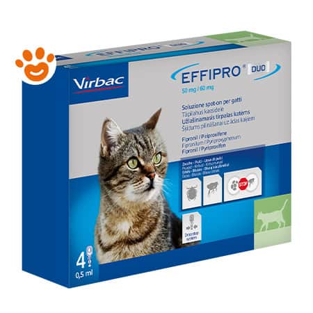 Effipro duo gatto 4x0,5ml
