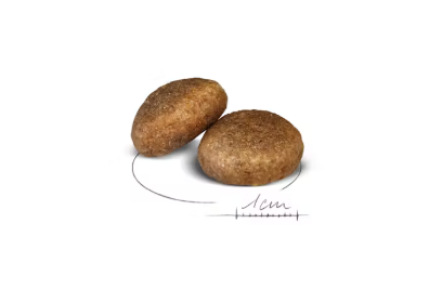 Cibo per cani Maxi Adult Royal Canin AGRIAPPIA, confezione con sacco di cibo per cani di taglia grande, immagine chiara e dettagliata