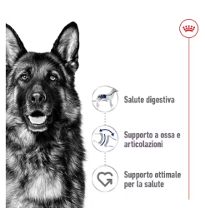 Cibo per cani Maxi Adult Royal Canin AGRIAPPIA, sacco di alimenti per cani adulti di taglia grande, immagine del prodotto.