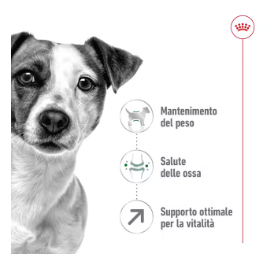 Cibo per cani Mini Adult 8+ Royal Canin AGRIAPPIA, confezione con crocchette per cani adulti di piccola taglia