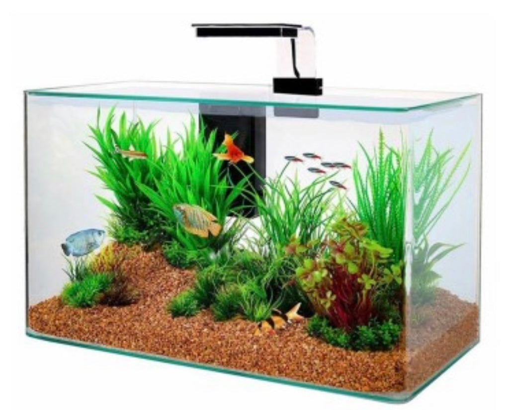 Acquario Clear 40 di AGRIAPPIA, contenitore in vetro con copertura, perfetto per habitat acquatici domestici.