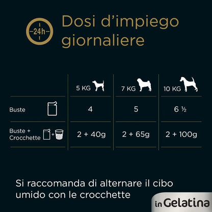 Cesar Dog Busta in Gelatina Multipack 4x100G