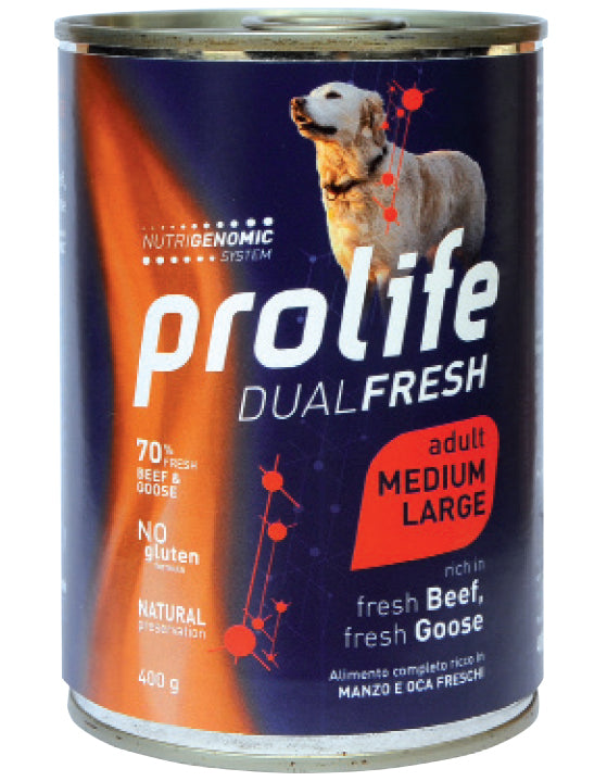 Bistecca di manzo con crosta dorata su piatto, accompagnata da un gambo di Prolife cane DUALFRESH di AGRIAPPIA