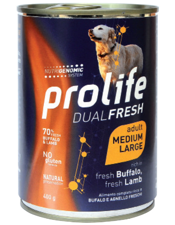 Bovino adulto con mantello bianco e nero, alimentato con mangime Prolife Cane DUALFRESH AGRIAPPIA.