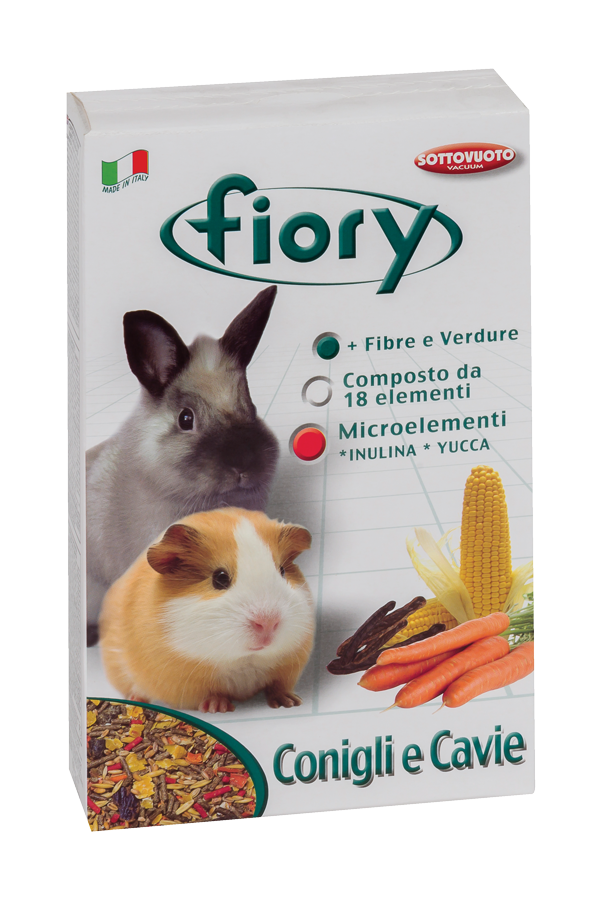 Cavia domestica e conigliolini di AgriaPpia, immagini di roditori e conigli in un ambiente naturale e accogliente.